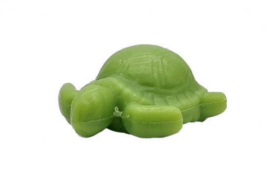 Gastenzeep groene schilpad